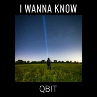 I Wanna Know - Single - Qbit