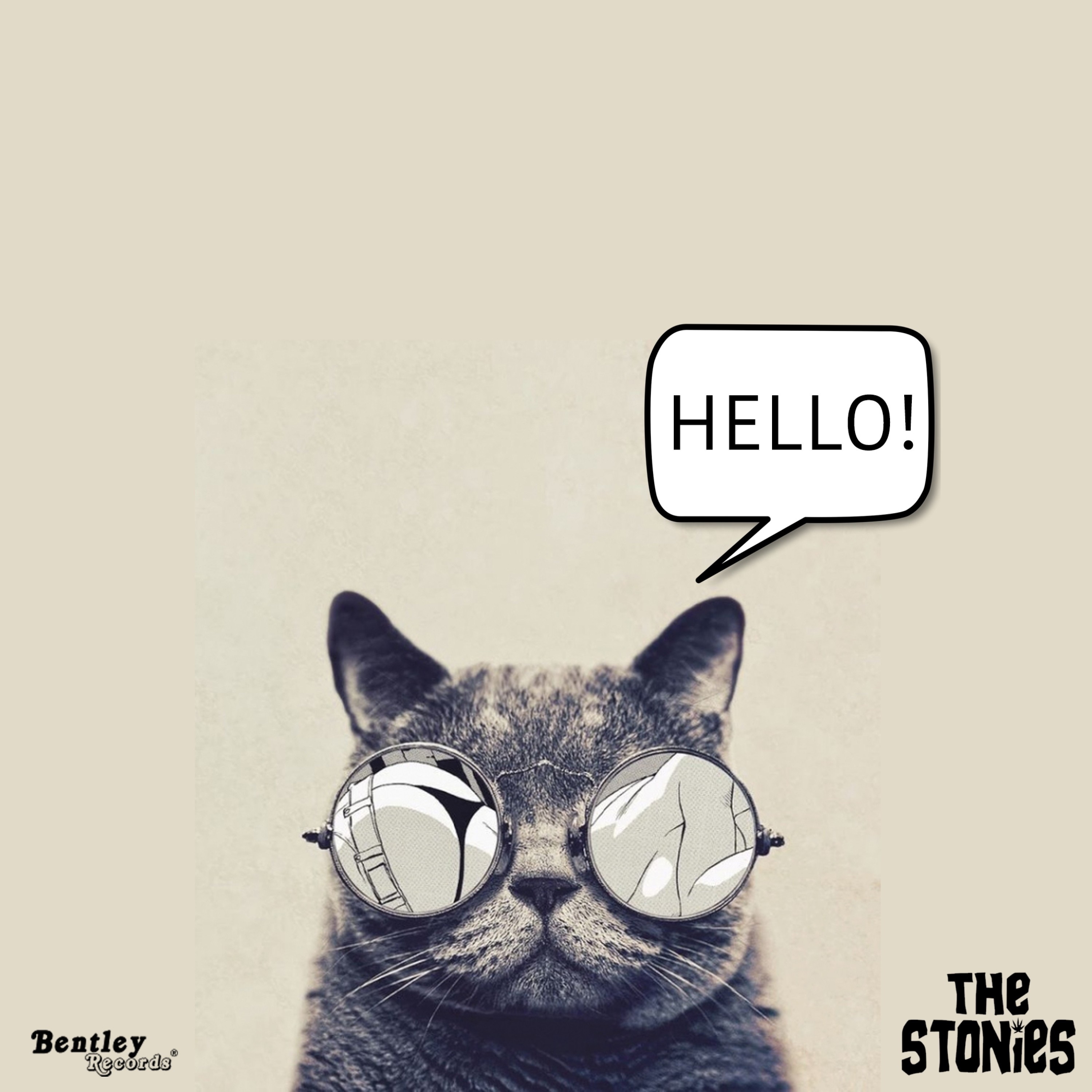 Hello - Single by The Stonies album cover