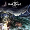 Nightbus