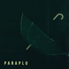 Paraplu - Single