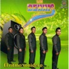Los Bennis - Cumbia de la Alberca