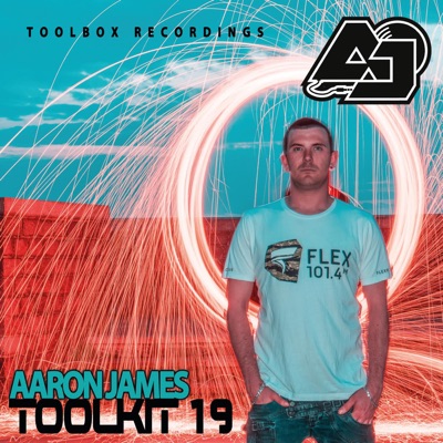 Toolkit 19 (DJ Mix)