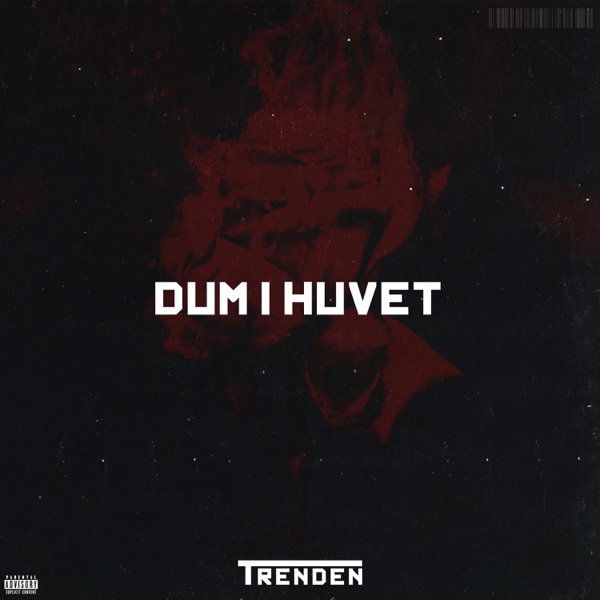 Dum i huvet