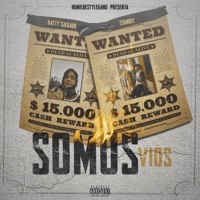 Somos Vios (feat. standly) - Single - KattySalgado