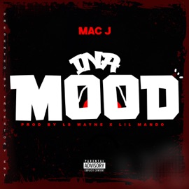 Ina Mood Mac J