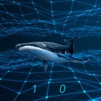 Bootleg 2010 - Salih Mardin