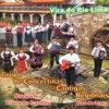 Grupo De Cantares e Cantigas Regionais - Vira Velho