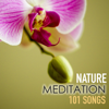 Nature Meditation 101 Songs - Spa Music Relaxation Meditation