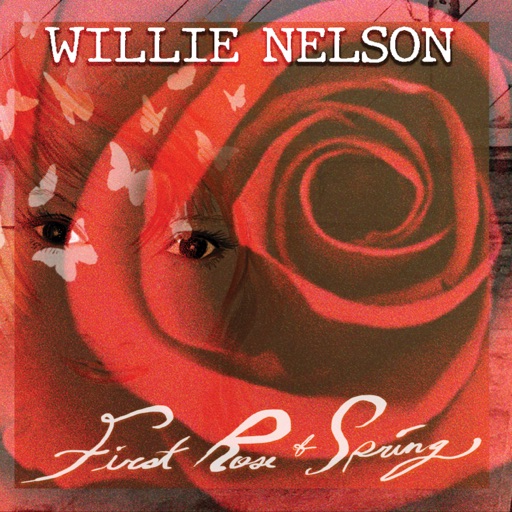 Art for First Rose of Spring by Willie Nelson