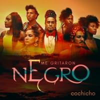 Me Gritaron Negro - Single - Cochicho