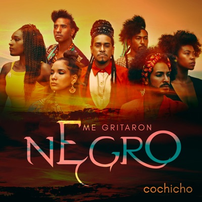 Me Gritaron Negro - Single