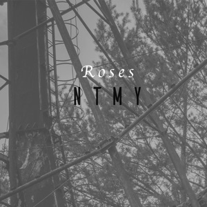 Roses - Single