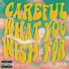 Careful What You Wish For - Single