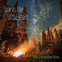 Way Way Back — The Campfire Flies