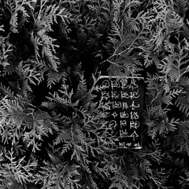 Mt. Rose (feat. CharlestheFirst) Goopsteppa