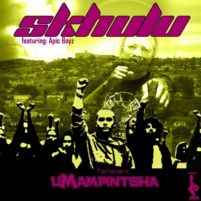 Tshelani uMampintsha (feat. Apic Boys) - Single