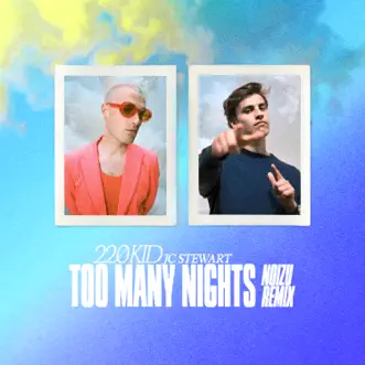 Too Many Nights (Noizu Remix) - Single by 220 KID & JC Stewart album reviews, ratings, credits