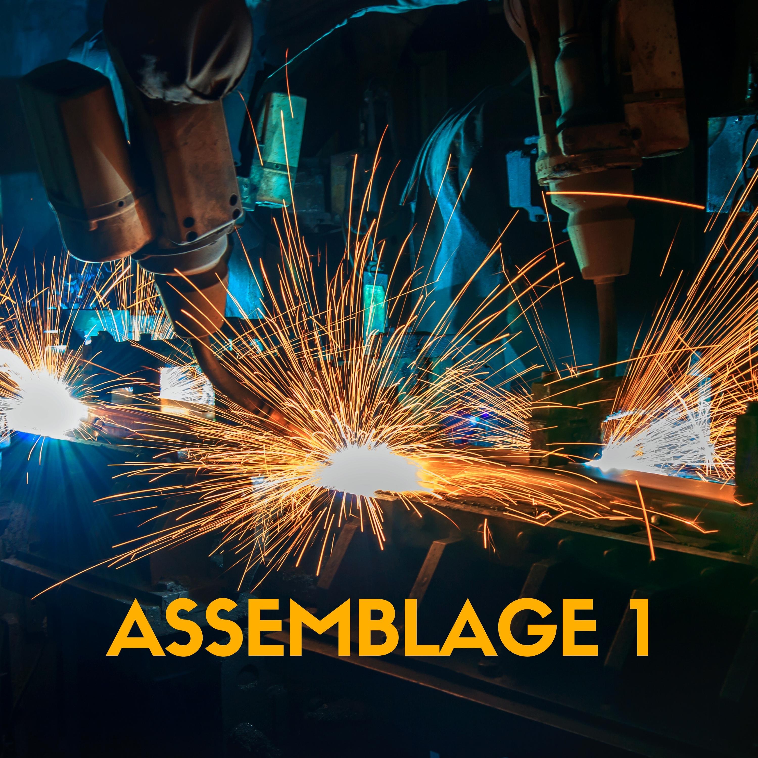 Assemblage 1D - Single