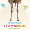 Llama Drama: A two-woman, 5,500-mile cycling adventure through South America - Anna McNuff