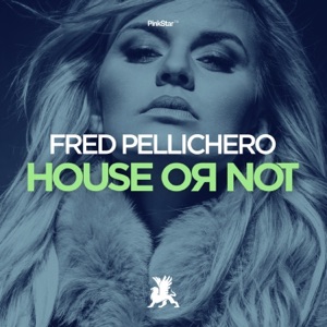 House or Not - Single
