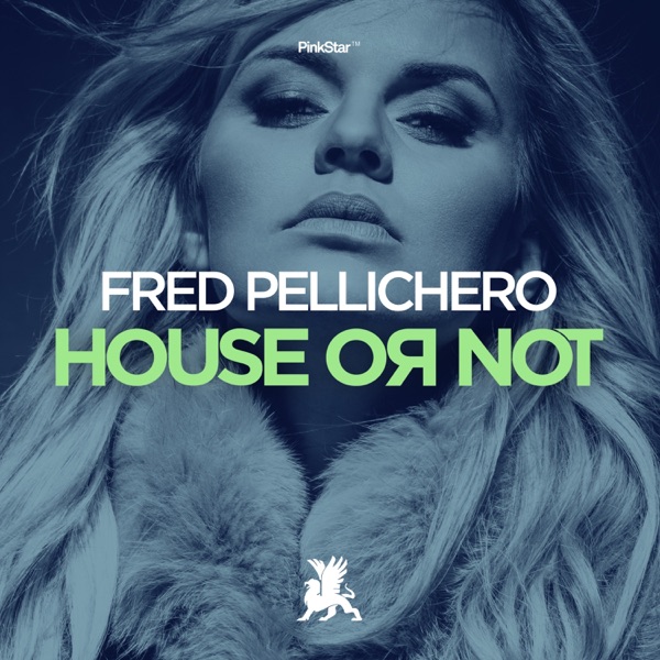 House or Not - Single