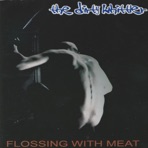 Flossing With Meat - EP