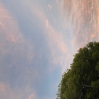 Fruits Basket - Single - Xander Wavy