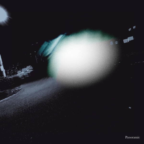 Panoramic - Single