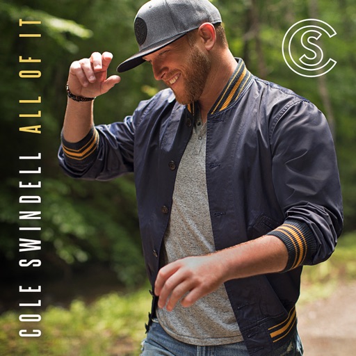 Art for Break Up In The End by Cole Swindell