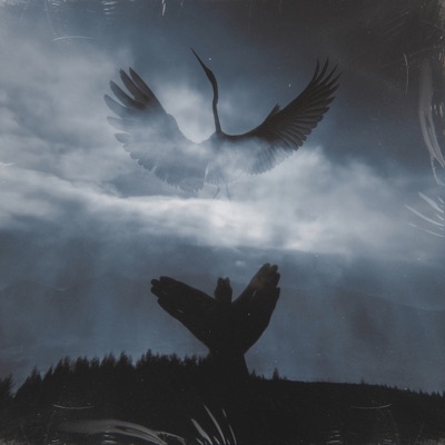 Журавли (feat. Darmur) - Single