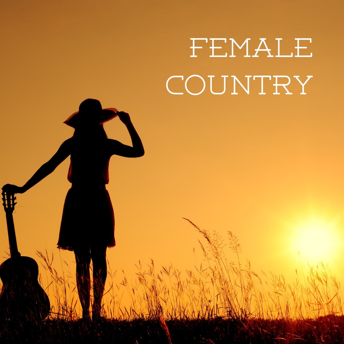 Female Country Album By Various Artists Apple Music female-country-album-by-various-artists-apple-music