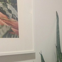 Coincidence - Single - heylog