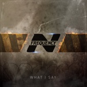N-Frequency - What I Say (Rob Dust's New Single Mix)