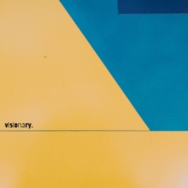 Visionary Sre