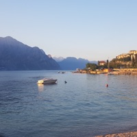 My Rules - Single - BARELO