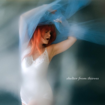 Shelter from Thieves - Single