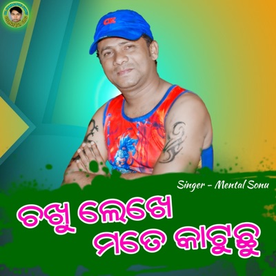 Chakhu Lekhe Mate Katuchhu - Single