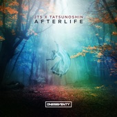 Afterlife (Extended Mix) artwork