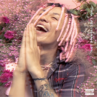 眠れない夜 Tofu Shazam