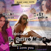 Te Quiero Mucho (feat. Sinego B Side) [Sinego Remix] artwork