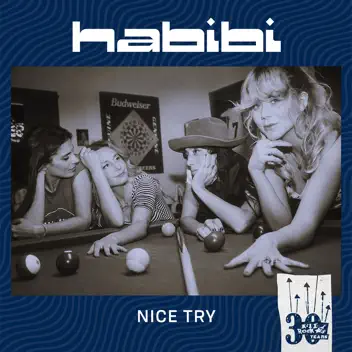 Nice Try album cover