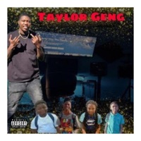 Taylor Geng (Radio Edit) [Radio Edit] - Single - DBrown