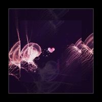 AVENOIR (feat. Sol Jay) - Single - SUNI VEGA