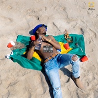 Party In Brazil - Single - Just Say Jones