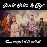 Stau Singur Si Te Astept (feat. Elys) - Single - Deniz Brizo