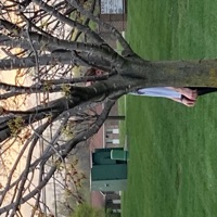 SCATPACK (feat. JAK!) - Single - ColdStone