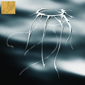 A Maré Vai Levar adieu