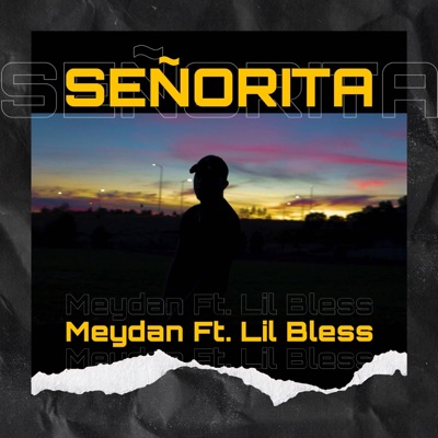 Señorita (feat. Lil Bless) - Single