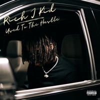 Used To the Hustle - Single - Rich J