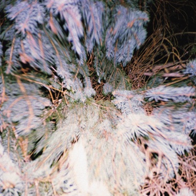 MARSH (feat. Omar Chaotic) - Single